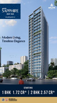 1 BHK Apartment For Sale in Aplite Sapphire