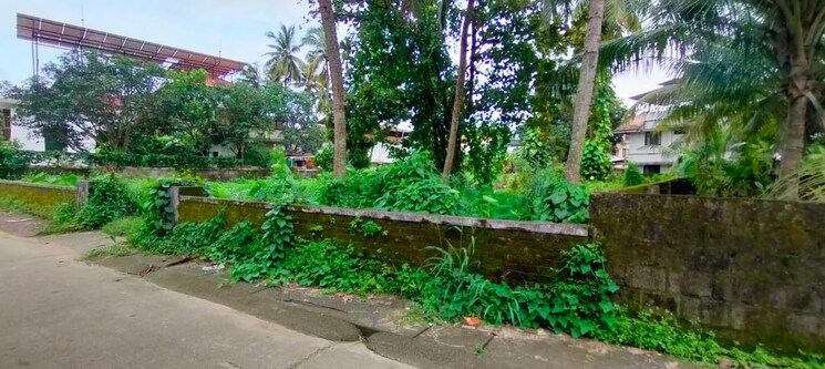 Garden, east fort  4356 Sq.Ft. Plot In East Fort Thrissur 9111154