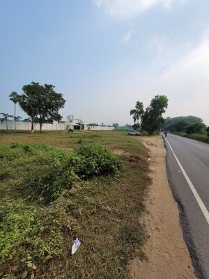  Plot For Sale in Gola Road