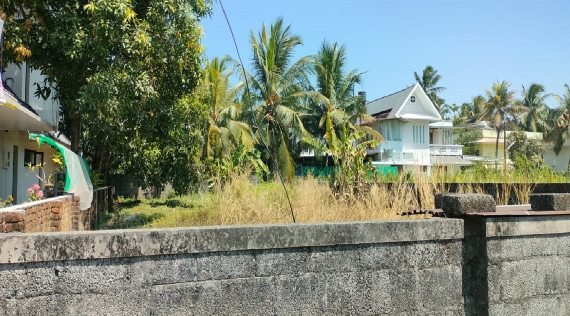 Plot For Sale in Chembukkavu