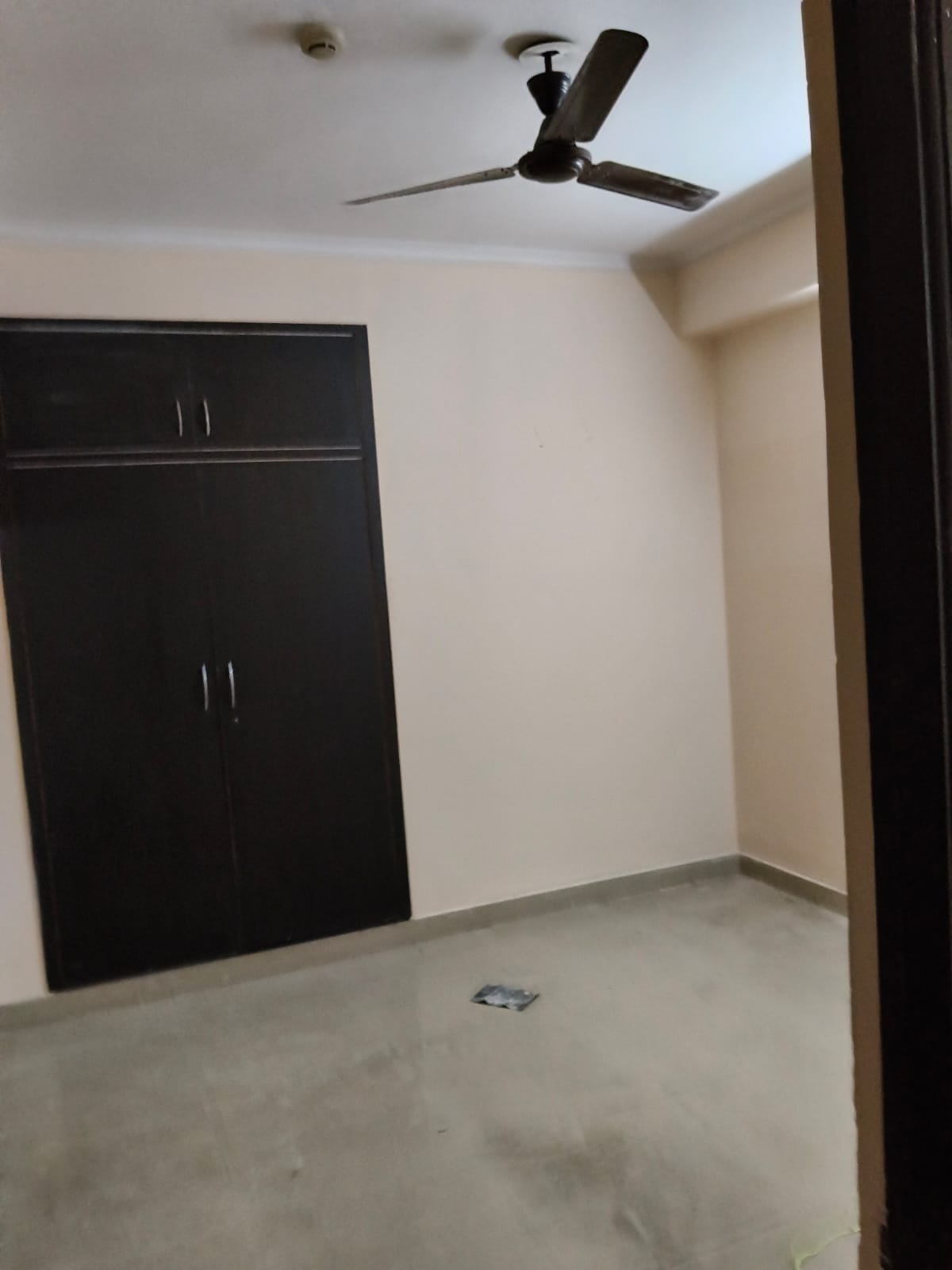 2 BHK Apartment For Rent in Supertech Ecovillage II