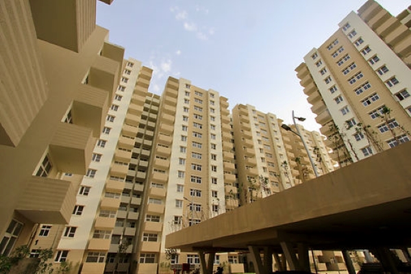 2 BHK Apartment For Rent in Tulip Lemon