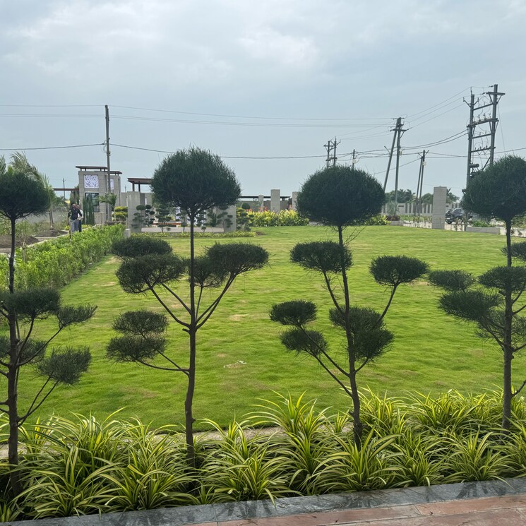 Garden, super corridor  800 Sq.Ft. Plot In Super Corridor Indore 9111971