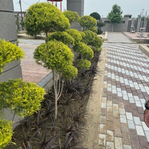 Balcony in  Plot at Super Corridor – for Sale