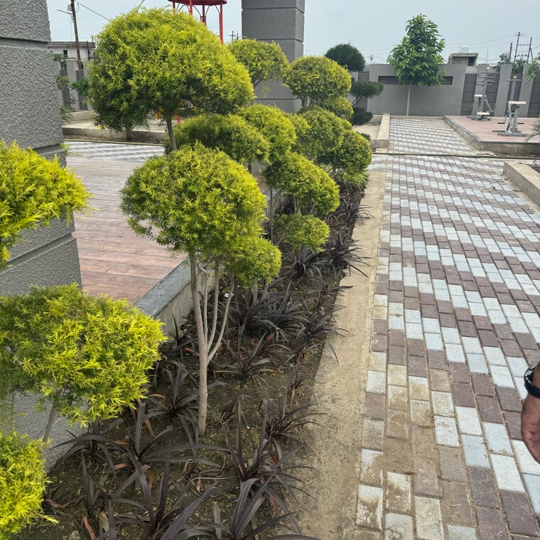 Balcony, super corridor  800 Sq.Ft. Plot In Super Corridor Indore 9111971