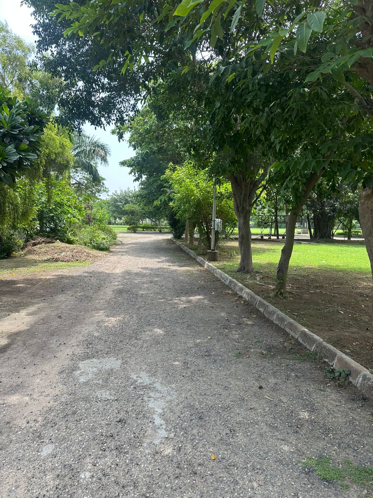 Plot For Sale in Omega II Greater Noida