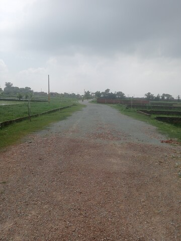 Plot Area in  Plot at Ramnagar – for Sale