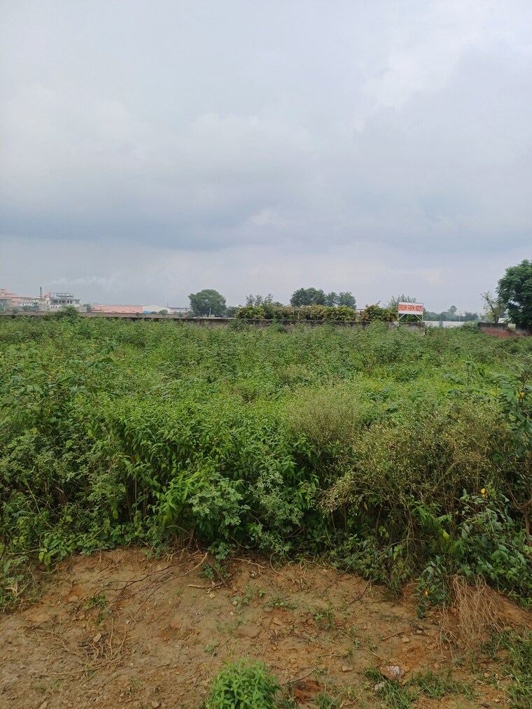 Garden, dheeraj nagar  115 Sq.Yd. Plot In Dheeraj Nagar Faridabad 9112727