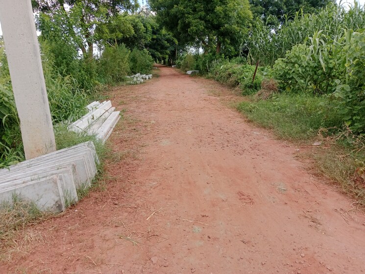 undefined, gwalior road  140 Sq.Yd. Plot In Gwalior Road Agra 9112738