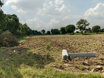 Plot Area in  Plot at Gwalior Road – for Sale