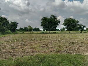 Plot Area in  Plot at Gwalior Road – for Sale