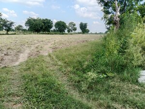 Plot Area in  Plot at Gwalior Road – for Sale