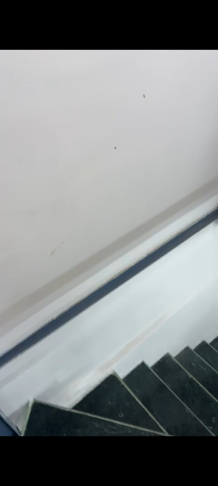 undefined, naupada Commercial Shop 350 Sq.Ft. In Naupada Thane 9112794