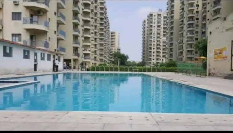 Swimming Pool, ardee-city-palm-grove-heights 3 Bedroom 2035 Sq.Ft. Apartment In Sector 52 Gurgaon 9112842