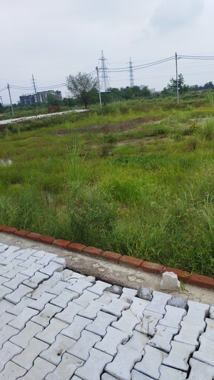 Plot Area in  Plot at Raj Nagar Extension – for Sale