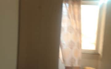 1 BHK Apartment For Sale in Pimple Gurav