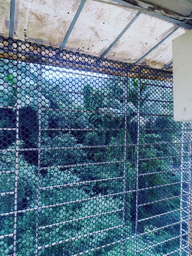 Exterior View, triveni-vasant-vihar-chs 2 Bedroom 850 Sq.Ft. Apartment In Vasant Vihar Thane 9113111