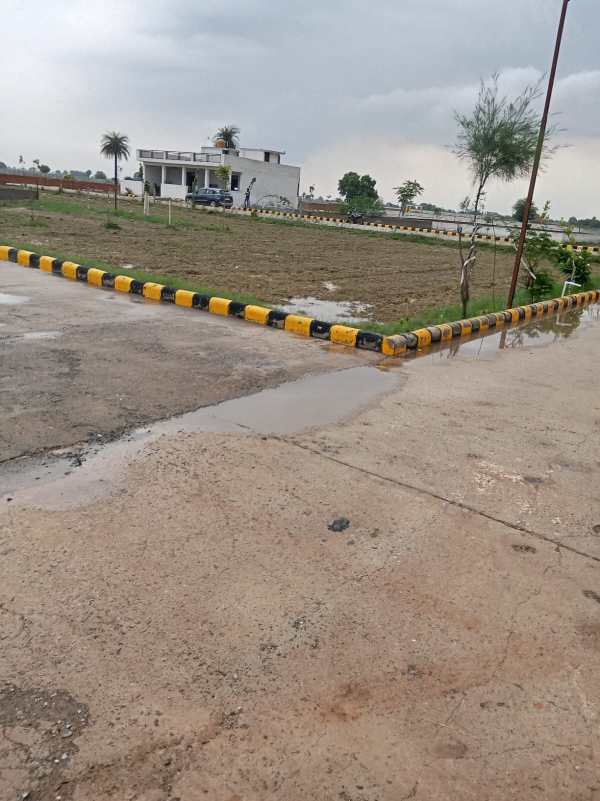 Plot For Sale in Sector 78