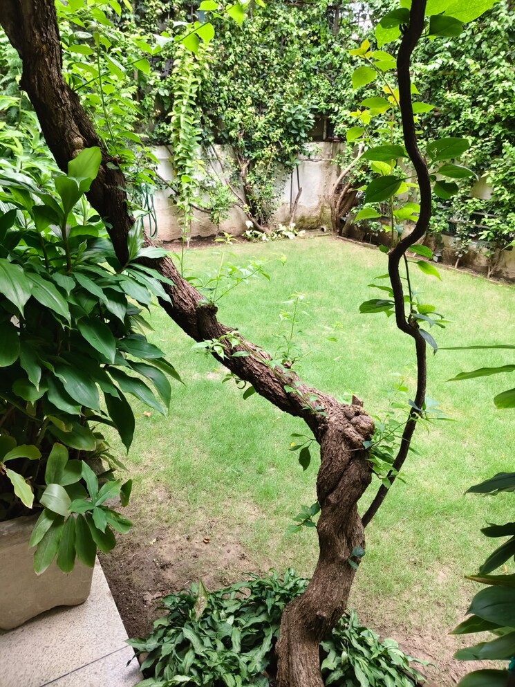 Exterior View, boutique-residential-apartments-a-3-2 3 Bedroom 1600 Sq.Ft. Builder Floor In Vasant Vihar Delhi 9113473