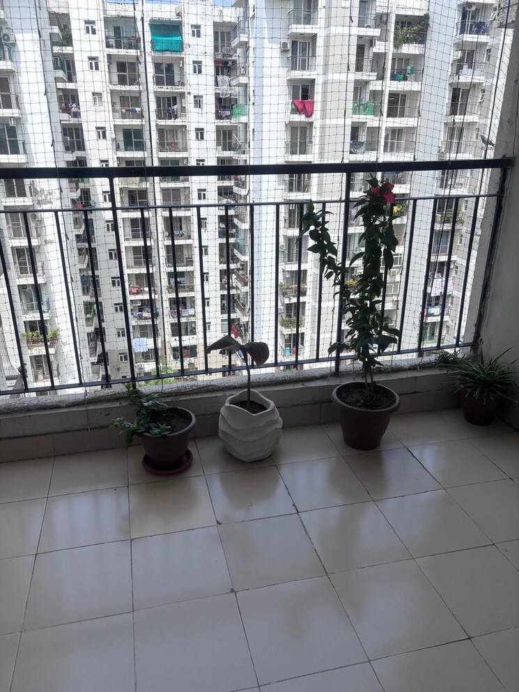 Balcony, nk-sharma-savitry-greens 2 Bedroom 1200 Sq.Ft. Apartment In Lohgarh Zirakpur 9113490