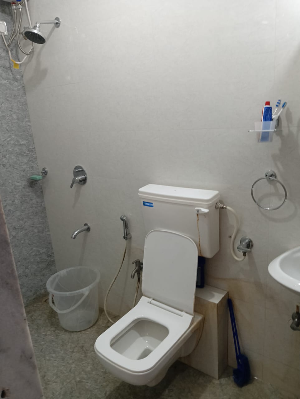 2 BHK Apartment For Rent in Colo Residency 