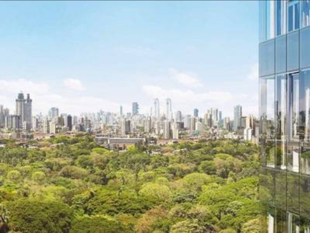 1 BHK Apartment For Rent in Dadar