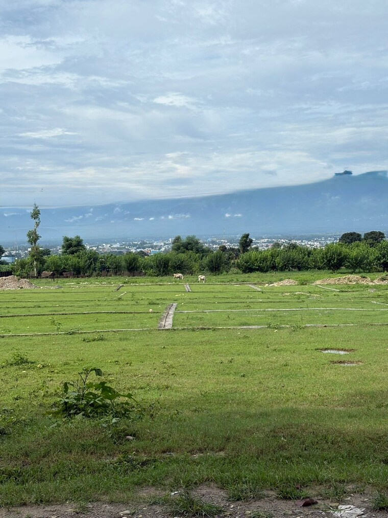 undefined, sherpur  329 Sq.Yd. Plot In Sherpur Dehradun 9113747