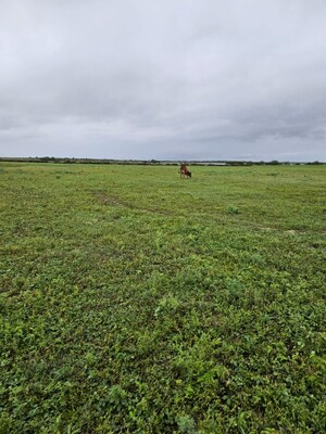 Plot Area in  Plot at Daarukavanam – for Sale