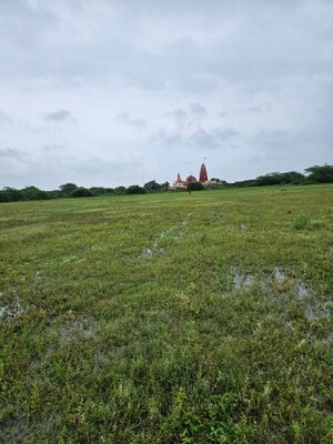 Plot Area in  Plot at Daarukavanam – for Sale