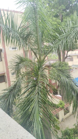 3 BHK Apartment – Exterior View View at Arun Vihar Sector 37, Sector 37 - for Sale