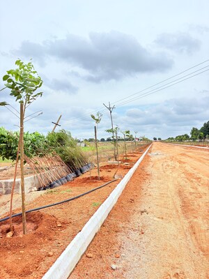 Plot Area in  Plot at ESR South Central, Subhanpur – for Sale