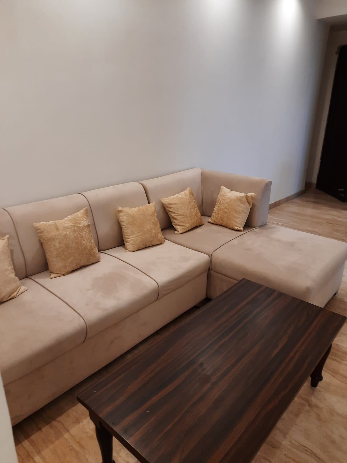 3 BHK + Extra Room Apartment For Rent in Supertech Supernova Spira Suites