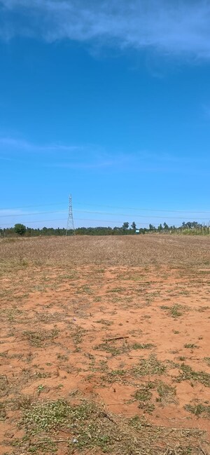 Plot Area in  Plot at Rajanukunte – for Sale
