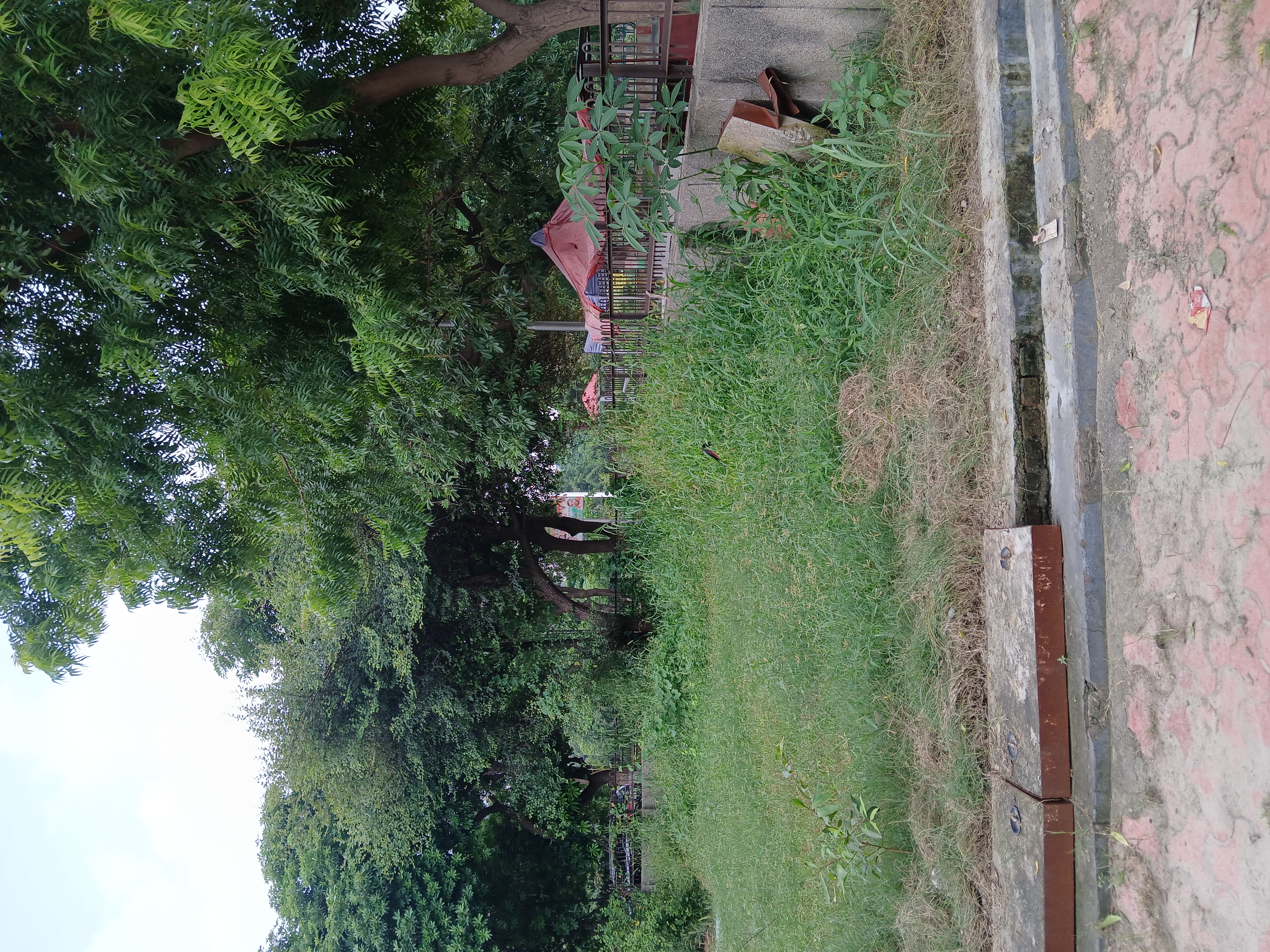 Plot For Sale in RWA Apartments Sector 121