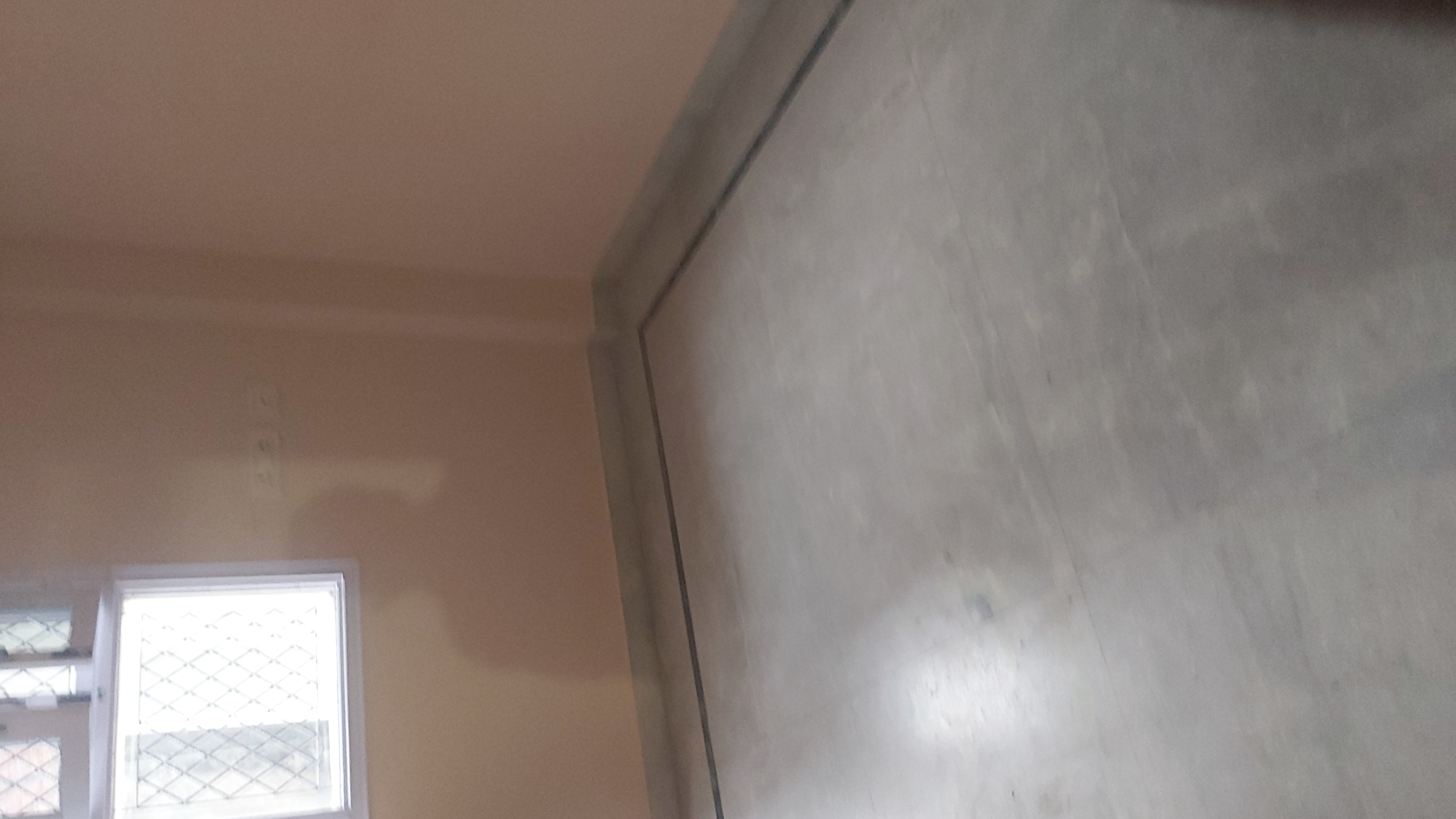 2.5 BHK + Study Room Builder Floor For Rent in Partap Nagar Mayur Vihar 