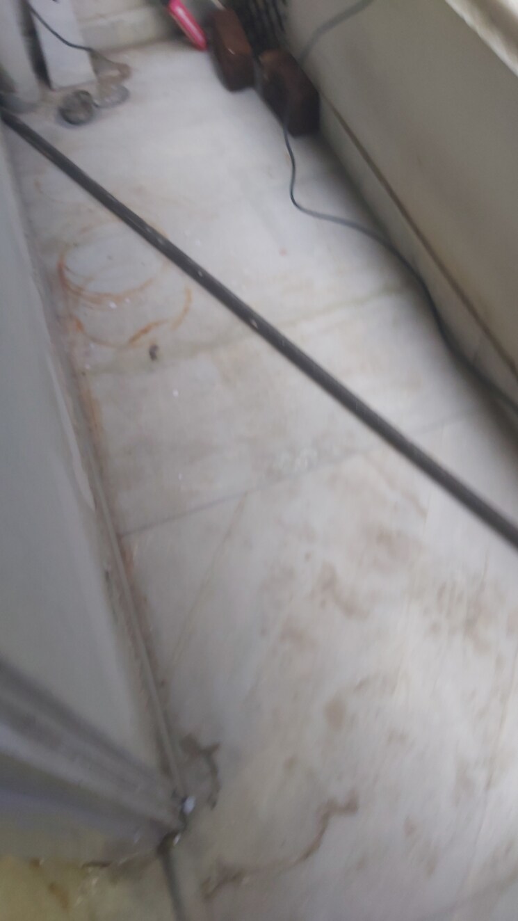 undefined, mayur vihar 2.5 Bedroom 650 Sq.Ft. Builder Floor In Mayur Vihar Delhi 9114992