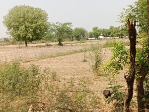 Plot Area in  Plot at Gwalior Road – for Sale