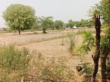 Plot Area in  Plot at Gwalior Road – for Sale