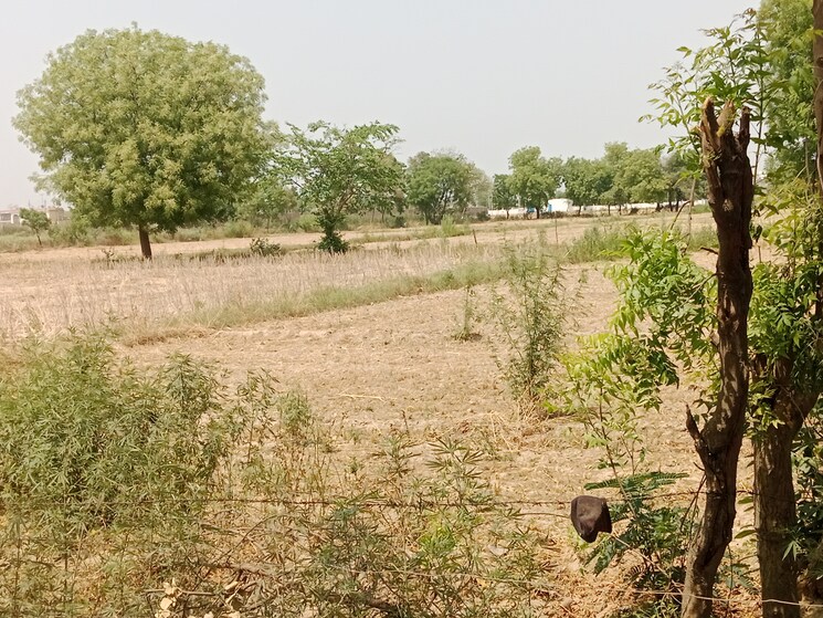 undefined, gwalior road  100 Sq.Yd. Plot In Gwalior Road Agra 9115543