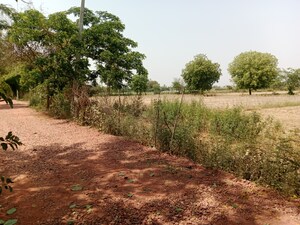 Plot Area in  Plot at Gwalior Road – for Sale