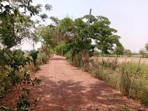 Plot Area in  Plot at Gwalior Road – for Sale