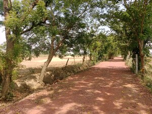 Plot Area in  Plot at Gwalior Road – for Sale