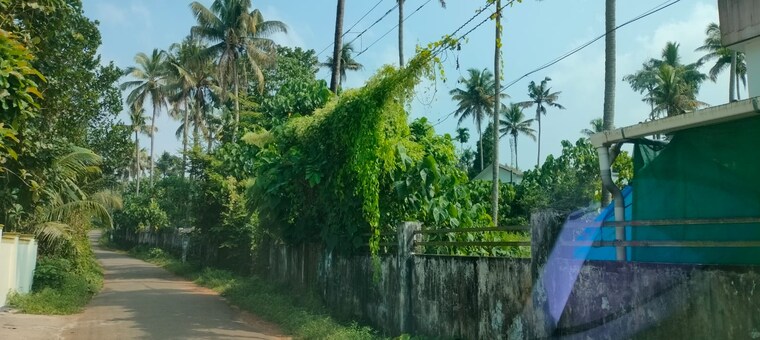 Garden, kodakara  87120 Sq.Ft. Plot In Kodakara Thrissur 9115678