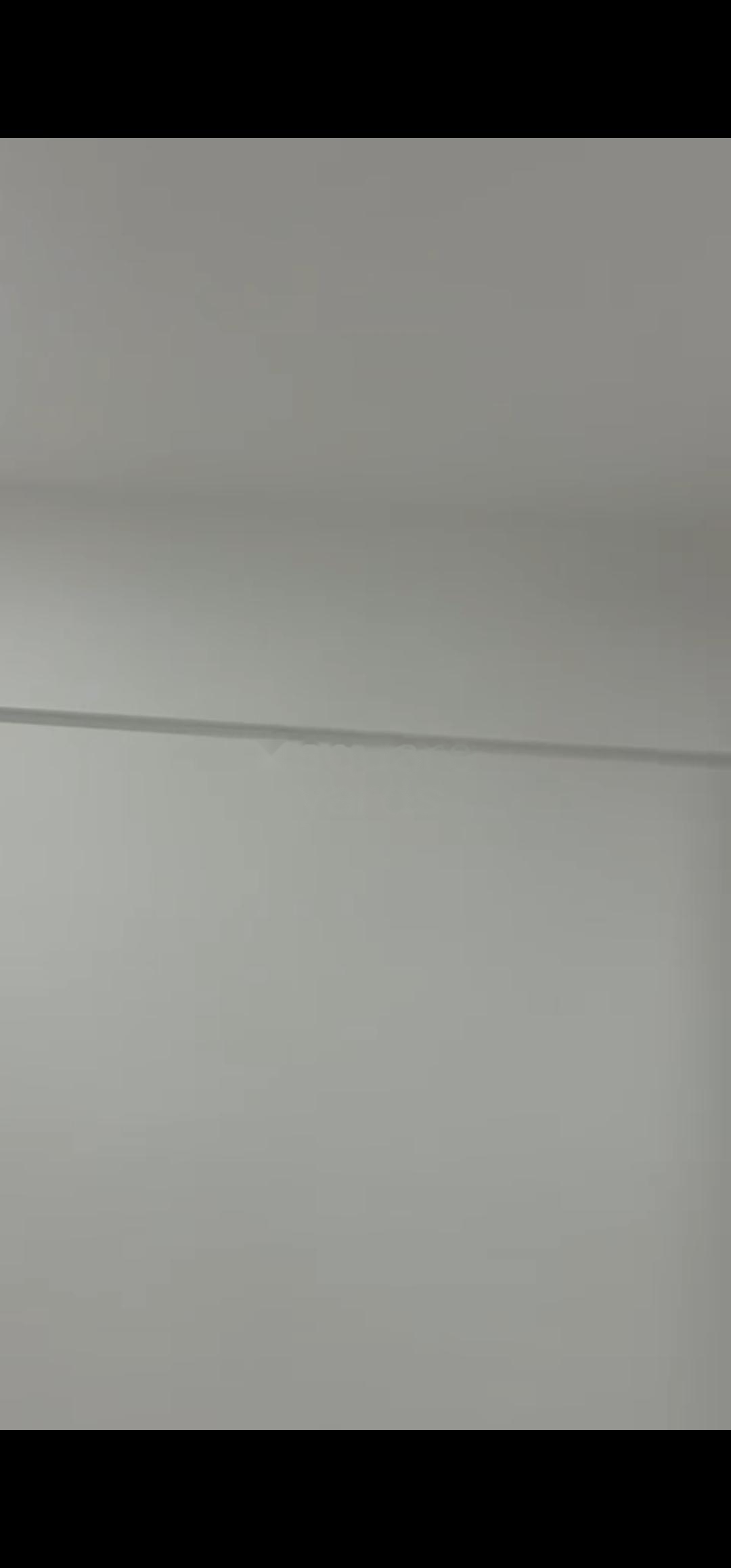 2 BHK Apartment For Rent in Nahar Amaryllis Towers and Plaza