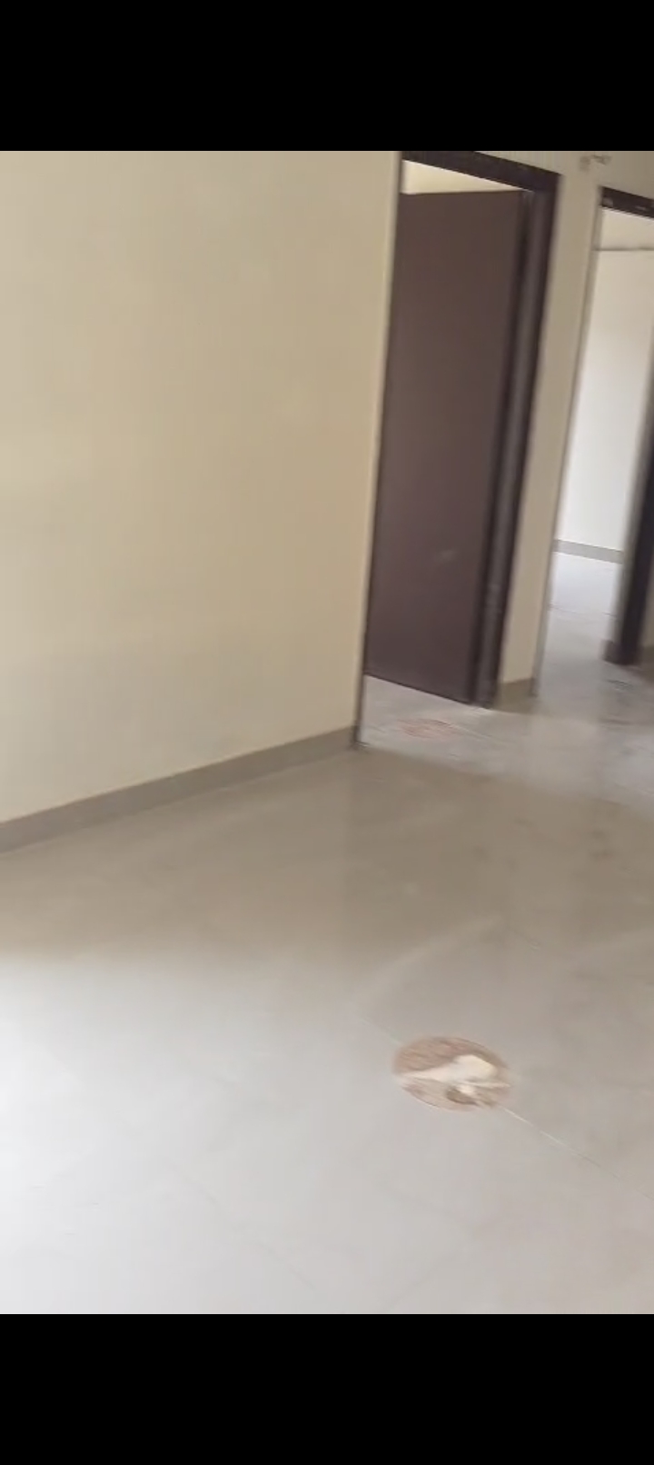 3 BHK + Extra Room Apartment For Rent in Paramount Emotions