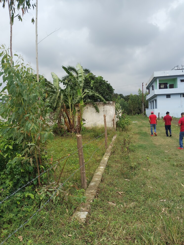 Exterior View, pilikothi  1105 Sq.Ft. Plot In Pilikothi Haldwani 9116492