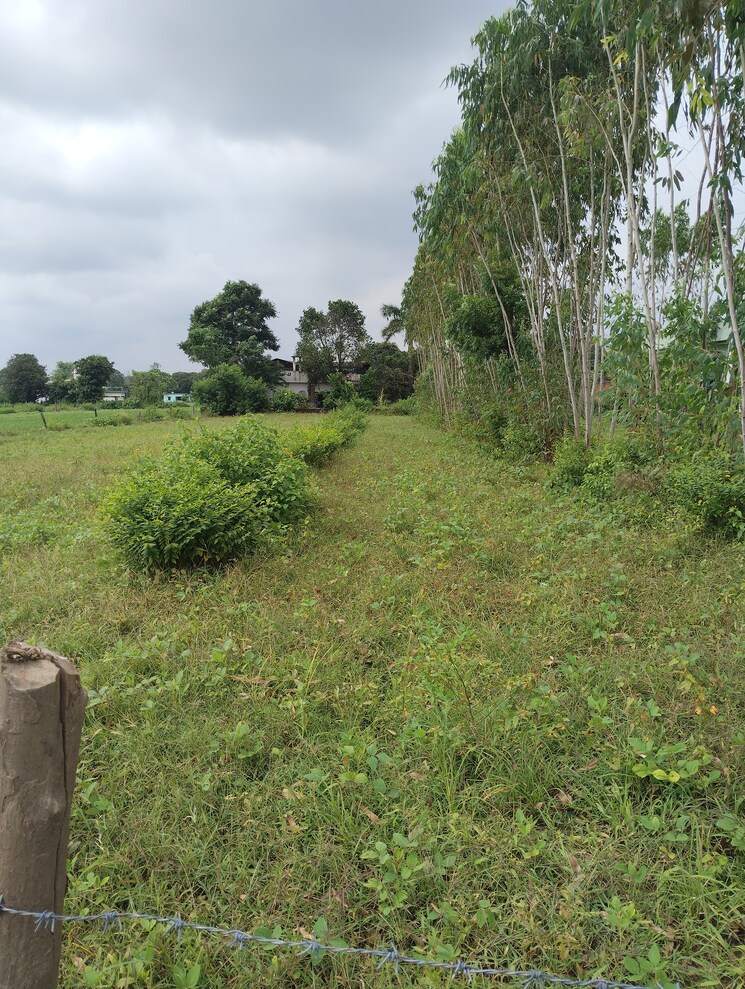 undefined, pilikothi  1105 Sq.Ft. Plot In Pilikothi Haldwani 9116492