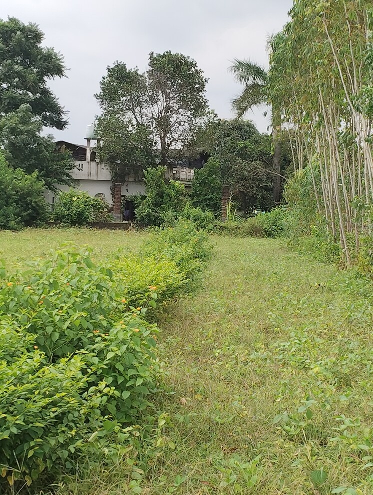 Exterior View, pilikothi  1105 Sq.Ft. Plot In Pilikothi Haldwani 9116492