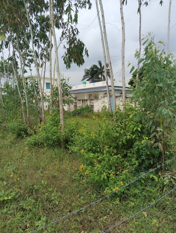  Plot – Exterior View View at Pilikothi - for Sale