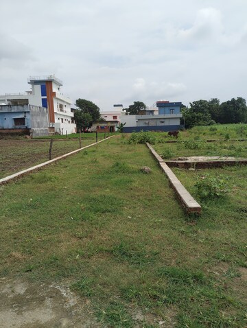  Plot For Sale in Pilikothi
